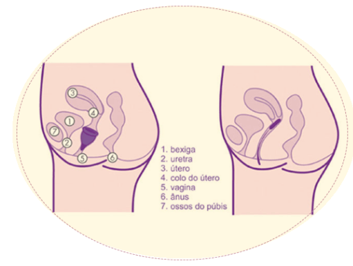 Image Title My Image